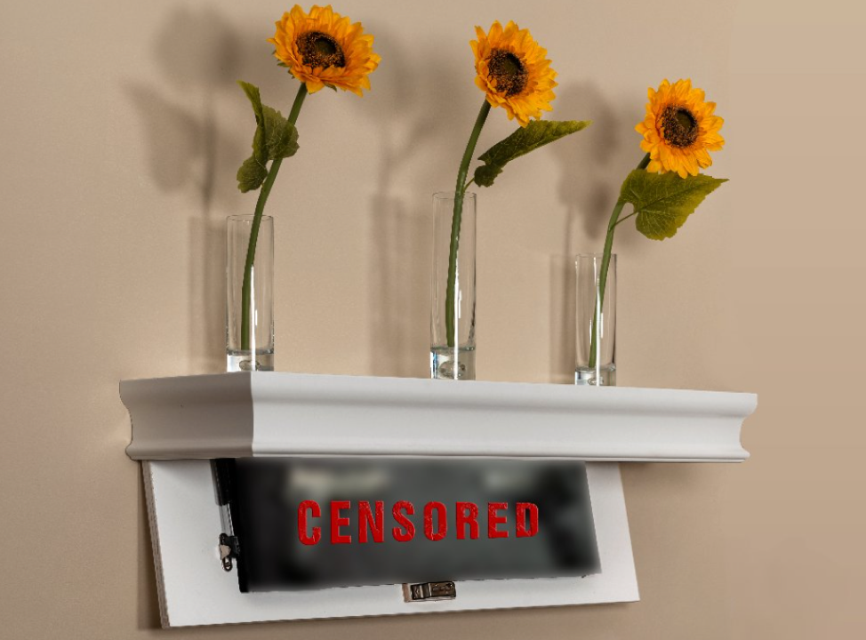 Hidden open shelf censored